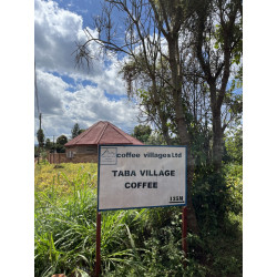 Taba - Rwanda
